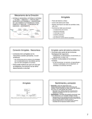 7
Mecanismo de la Emoción
• ESTIMULO SENSORIAL EXTERNO O INTERNO
-> TALAMO -> AMIGDALA -> HIPOTALAMO ->
RESPUESTA AUTONOMICA -> PERCEPCION
DE LOS CAMBIOS AUTONOMICOS A NIVEL
PARIETAL E INSULAR -> CONCIENCIA DE
EMOCION -> SENTIMIENTO
Estímulo
tálamo
amígdala
Corteza
sensorial
Corteza
Orbitofrontal Sistema
Endocrino
troncoencéfalo
hipotálamo
Sistema
Autónomo
Conducta
Emocional
Amígdala
• Parte del Sistema Límbico
• Centro del sistema del miedo
• Recibe información de todos los sentidos (vista,
oído, etc.)
• Controla las redes que provocan:
– el aceleramiento del corazón,
– las palmas sudorosas,
– el estómago contraído,
– la tensión muscular y
– los flujos hormonales
que sentimos cuando estamos asustados.
Conexión Amígdala - Neocorteza
• conductos de la amígdala con la
neocorteza (cerebro pensante), no son
simétricos
– las conecciones de la corteza a la amígdala
son considerablemente más débiles que las
que van de la amígdala a la corteza.
• Esto puede explicar por qué una vez que
se despierta una emoción es tan difícil
desconectarla a voluntad.
Amígdala: parte del sistema endocrino
• Controlan gran parte de las funciones
fisiológicas del organismo
– metabolismo, la homeostasis, el crecimiento, la
reproducción, el dolor, etc.
• También involucradas en la conducta
humana:
– en las emociones, la memoria, el aprendizaje o
incluso en patologías como la depresión, la
ansiedad o la anorexia nerviosa.
Amígdala Sentimiento y emoción
• Emoción: serie de respuestas que,
desencadenadas desde zonas concretas del
cerebro, tienen efectos en otras zonas del cerebro,
así como en otras partes del cuerpo.
– Resultado final: estado emocional, conjunto de los
diferentes cambios corporales que experimenta el
individuo en cuestión.
• Sentimiento: resultado del estado emocional, que
hace referencia a un complejo estado mental:
– representación de los cambios que están ocurriendo en
el propio cuerpo (representados en las correspondientes
estructuras del sistema nervioso central), y
– diversas alteraciones en el procesamiento cognitivo
(resultado de las repuestas cerebro-cerebro).
 
