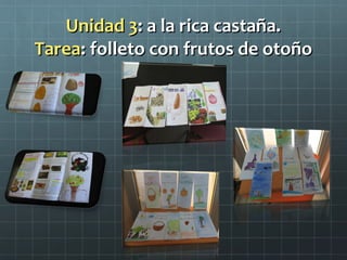 Unidad 3: a la rica castaña.
Tarea: folleto con frutos de otoño
 