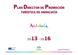 PLAN DIRECTOR DE PROMOCIÓN
TURÍSTICA DE ANDALUCÍA

13 - 2016

20

 