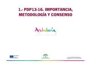 1.- PDP13-16. IMPORTANCIA,
METODOLOGÍA Y CONSENSO

 