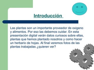 Introducción
Las plantas son un importante proveedor de oxigeno
y alimentos. Por eso las debemos cuidar. En esta
presentac...