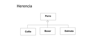 Herencia
Perro
Collie Boxer Dalmata
 