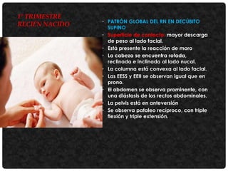 1° TRIMESTRE
RECIÉN NACIDO

• PATRÓN GLOBAL DEL RN EN DECÚBITO
SUPINO
• Superficie de contacto: mayor descarga
de peso al lado facial.
• Está presente la reacción de moro
• La cabeza se encuentra rotada,
reclinada e inclinada al lado nucal.
• La columna está convexa al lado facial.
• Las EESS y EEII se observan igual que en
prono.
• El abdomen se observa prominente, con
una diástasis de los rectos abdominales.
• La pelvis está en anteversión
• Se observa pataleo recíproco, con triple
flexión y triple extensión.

 