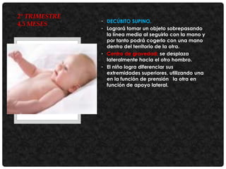 2° TRIMESTRE
4,5 MESES

• DECÚBITO SUPINO.
• Logrará tomar un objeto sobrepasando
la línea media al seguirlo con la mano y
por tanto podrá cogerlo con una mano
dentro del territorio de la otra.
• Centro de gravedad: se desplaza
lateralmente hacia el otro hombro.
• El niño logra diferenciar sus
extremidades superiores, utilizando una
en la función de prensión la otra en
función de apoyo lateral.

 
