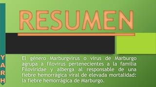 El género Marburgvirus o virus de Marburgo
agrupa a filovirus pertenecientes a la familia
Filoviridae y alberga al responsable de una
fiebre hemorrágica viral de elevada mortalidad:
la fiebre hemorrágica de Marburgo.
 