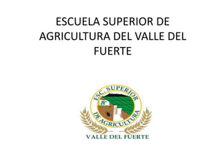 ESCUELA SUPERIOR DE
AGRICULTURA DEL VALLE DEL
         FUERTE
 