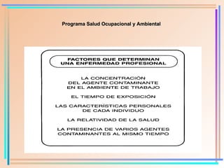 Programa Salud Ocupacional y Ambiental 