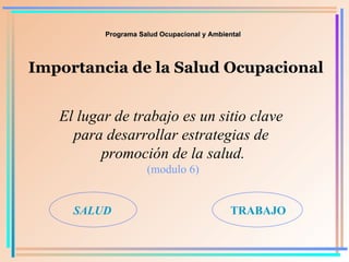 Programa Salud Ocupacional y Ambiental Importancia de la Salud Ocupacional El lugar de trabajo es un sitio clave  para desarrollar estrategias de  promoción de la salud. (modulo 6) SALUD TRABAJO 