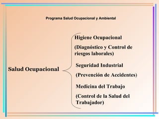 Programa Salud Ocupacional y Ambiental Salud O cupacional Higiene Ocupacional (Diagnóstico y Control de riesgos laborales) Seguridad Industrial (Prevención de Accidentes ) Medicina del Trabajo (Control de la Salud del Trabajador) 