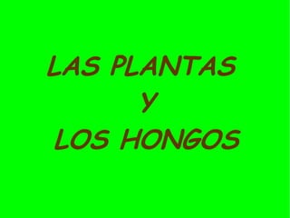 LAS PLANTAS
      Y
 LOS HONGOS
 