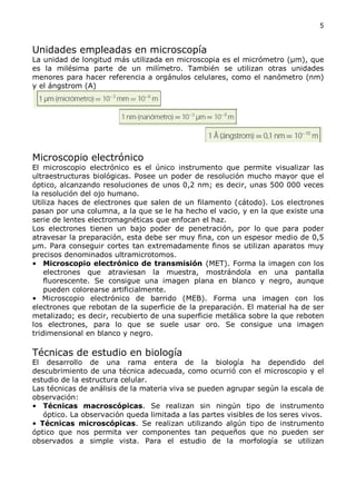 5


Unidades empleadas en microscopía
La unidad de longitud más utilizada en microscopia es el micrómetro (μm), que
es la milésima parte de un milímetro. También se utilizan otras unidades
menores para hacer referencia a orgánulos celulares, como el nanómetro (nm)
y el ángstrom (A)




Microscopio electrónico
El microscopio electrónico es el único instrumento que permite visualizar las
ultraestructuras biológicas. Posee un poder de resolución mucho mayor que el
óptico, alcanzando resoluciones de unos 0,2 nm; es decir, unas 500 000 veces
la resolución del ojo humano.
Utiliza haces de electrones que salen de un filamento (cátodo). Los electrones
pasan por una columna, a la que se le ha hecho el vacio, y en la que existe una
serie de lentes electromagnéticas que enfocan el haz.
Los electrones tienen un bajo poder de penetración, por lo que para poder
atravesar la preparación, esta debe ser muy fina, con un espesor medio de 0,5
μm. Para conseguir cortes tan extremadamente finos se utilizan aparatos muy
precisos denominados ultramicrotomos.
• Microscopio electrónico de transmisión (MET). Forma la imagen con los
    electrones que atraviesan la muestra, mostrándola en una pantalla
    fluorescente. Se consigue una imagen plana en blanco y negro, aunque
    pueden colorearse artificialmente.
• Microscopio electrónico de barrido (MEB). Forma una imagen con los
electrones que rebotan de la superficie de la preparación. El material ha de ser
metalizado; es decir, recubierto de una superficie metálica sobre la que reboten
los electrones, para lo que se suele usar oro. Se consigue una imagen
tridimensional en blanco y negro.

Técnicas de estudio en biología
El desarrollo de una rama entera de la biología ha dependido del
descubrimiento de una técnica adecuada, como ocurrió con el microscopio y el
estudio de la estructura celular.
Las técnicas de análisis de la materia viva se pueden agrupar según la escala de
observación:
• Técnicas macroscópicas. Se realizan sin ningún tipo de instrumento
   óptico. La observación queda limitada a las partes visibles de los seres vivos.
• Técnicas microscópicas. Se realizan utilizando algún tipo de instrumento
óptico que nos permita ver componentes tan pequeños que no pueden ser
observados a simple vista. Para el estudio de la morfología se utilizan
 