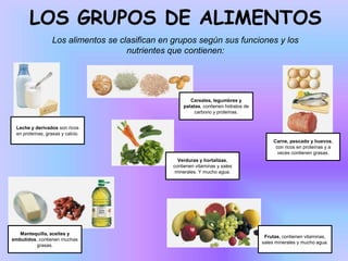 LOS GRUPOS DE ALIMENTOS
Los alimentos se clasifican en grupos según sus funciones y los
nutrientes que contienen:

Cereales, legumbres y
patatas, contienen hidratos de
carbono y proteínas.
Leche y derivados son ricos
en proteínas, grasas y calcio.
Carne, pescado y huevos,
con ricos en proteínas y a
veces contienen grasas.
Verduras y hortalizas,
contienen vitaminas y sales
minerales. Y mucho agua.

Mantequilla, aceites y
embutidos, contienen muchas
grasas.

Frutas, contienen vitaminas,
sales minerales y mucho agua.

 