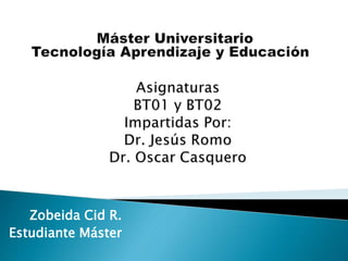 Zobeida Cid R.
Estudiante Máster
 