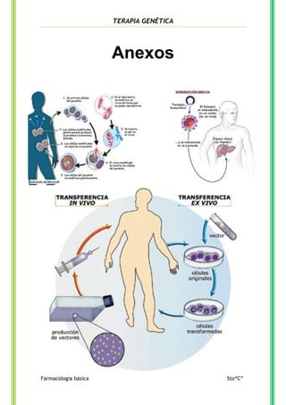 TERAPIA GENÉTICA

Anexos

Farmacología básica

5to“C”

 