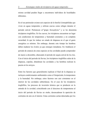 2         Estrategias vitales de tricópteros de aguas temporales

misma cavidad pueden llegar a encontrarse individuos de localidades
diferentes.


En el sur peninsular existen seis especies de la familia Limnephilidae que
viven en aguas temporales y utilizan cuevas como refugio durante el

periodo estival. Pertenecen al "grupo Stenophylax" y se les denomina
tricópteros troglófilos. En las cuevas, los tricópteros encuentran un lugar
con condiciones de temperatura y humedad constantes y en completa
oscuridad, lo que les induce un estado de diapausa en el que el gasto
energético es mínimo. Sin embargo, durante este tiempo las hembras
deben madurar los óvulos ya que emergen inmaduras. En Andalucía el

periodo de estancia de estas especies en las cavidades puede comprender

de marzo a diciembre, abarcando el periodo de sequía estival de los ríos.
Con el inicio del periodo de lluvias, los tricópteros troglófilos salen de la
diapausa, copulan, abandonan las cavidades y las hembras realizan la
puesta en los arroyos.


Entre los factores que generalmente explican el final de la diapausa se
incluyen condicionantes ambientales como el fotoperiodo, la temperatura
y la humedad. Sin embargo, estos factores son casi constantes en el
interior de las cavidades subterráneas. En el caso de los tricópteros
troglófilos, los procesos de inversión térmica que se producen en la
entrada de la cavidad, coincidiendo con el descenso de temperaturas al

inicio del periodo de lluvias en otoño, desencadenan la aparición de
corrientes de aire en el interior. Estas corrientes serían detectadas por los
 