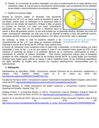 6) Potasio: Es el principal ión positivo intracelular y es para el mantenimiento de la carga eléctrica en la
membrana celular, la cual es para la comunicación neuromuscular, para el transporte de los nutrientes
de las células y para la eliminación de productos celulares.
2. Papel en la ósmosis celular
Durante la osmosis celular, el electrolito más abundante,
conformado por Na+ y Cl- se ioniza cuando se disuelven en agua. Al
ser diluido, ambos iones se distribuyen en el organismo hasta su
encuentro con las células del organismo. Al llegar a ellas, se genera
un proceso de ósmosis. Los iones con mayor concentración
extracelular (en este caso los Cl) tienden a difundirse hacia el
interior a favor del gradiente químico, lo que está limitado por su gradiente eléctrico. Mientras, los iones con
mayor concentración intracelular (en este caso el K), se difunden al exterior a favor del gradiente químico,
movimiento también limitado por el gradiente eléctrico. Por último, el ion de Na+ extra e intracelular.
Sin embargo, la célula no está en equilibrio respecto a las
concentraciones de Na+ y K+, pero estas se mantienen constantes
mediante la acción de la bomba Na+/K+ ATPasa. Esta proteína tiene
la función de transportar iones inorgánicos entre el medio intra y extracelular. La bombra expulsa a la matriz
extracelular 3 iones de Na+ y a la vez que ingresa 2 iones K+ por transporte activo (gasto de ATP), lo que
mantiene el gradiente de solutos y la polaridad eléctrica de la membrana, disminuyendo el sodio y
aumentando la cantidad de potasio intracelular. Esta bomba proporciona energía para el transporte
acoplado de otras moléculas. La actividad de las bombas bomba Na+/K+ se puede ajustar (por hormonas
tiroideas) para regular gasto calórico en reposo e índice metabólico basar. En las membranas plasmáticas
del tejido excitable se emplea para producir los impulsos electroquímicos imprescindibles para su
funcionamiento.
E) Bibliografía
Departamento de Agricultura. (2008). Composición corporal, funciones de los alimentos, metabolismo y
energía. FAO: Estados Unidos. Leído el 8 de marzo de 2015. De:
http://www.fao.org/docrep/006/w0073s/w0073s0c.htm.
Facultad de Farmacia (2001). Composición corporal. Universidad Computense Madrid: España. Leído el 8 de
marzo de 2015. http://pendientedemigracion.ucm.es/info/nutri1/carbajal/manual-02.htm
Rodríguez Martínez, G. (1998). Exploración del estado nutricional y composición corporal. Asociación
Española de Pediatría: España. Pag. 113.
Santana Porben, S. et Espinosa Borrás, A. (2011). Composición corporal. Biblioteca Virtual en Salud de
Cuba: Cuba. Leído el 8 de marzo de 2015. De http://bvs.sld.cu/revistas/act/vol11_1_03/act05103.htm
Zudaire, M. (5 de abril de 2012). Qué es la composición corporal. Eroski Consumer: España. Leído el 8 de
marzo de 2015. De:
http://www.consumer.es/web/es/alimentacion/aprender_a_comer_bien/curiosidades/2012/04/05/208526.php
1Transporte de Na+ y K+ por medio
de la bomba Na+/K+ ATPasa.
 