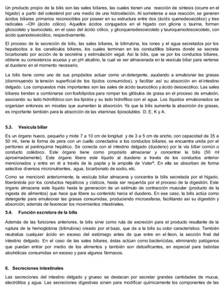 Un producto propio de la bilis son las sales biliares, las cuales tienen una reacción de síntesis (ocurre en el
hígado) a partir del colesterol por una medio de una hidroxilación. Al someterse a esa reacción, se generan
ácidos biliares primarios reconocibles por poseer en su estructura entre dos (ácido quenodeoxicólico) y tres
radicales –OH (ácido cólico). Aquellos ácidos conjugados en el hígado con glícina o taurina, forman
glicocolato y taurocolato, en el caso del ácido cólico, y glicoquenodesoxicolato y tauroquenodesoxicolato, con
ácido quenodeoxicólico, respectivamente.
El proceso de la secreción de bilis, las sales biliares, la bilirrubina, los iones y el agua secretados por los
hepatocitos a los canalículos biliares, los cuales terminan en los conductillos biliares donde se secreta
bicarbonato por acción de la secretina y estimulación vagal. Así la bilis, que va por los conductos biliares,
obtiene su consistencia acuosa y un pH alcalino, la cual va ser almacenada en la vesícula biliar para verterse
al duodeno en el momento necesario.
La bilis tiene como uno de sus propósitos actuar como un detergente, ayudando a emulsionar las grasas
(disminuyendo la tensión superficial de los lípidos consumidos), y facilitar así su absorción en el intestino
delgado. Los compuestos más importantes son las sales de ácido taurocólico y ácido desoxicólico. Las sales
biliares tienden a combinarse con fosfolípidos para romper los glóbulos de grasa en el proceso de emulsión,
asociando su lado hidrofóbico con los lípidos y su lado hidrofílico con el agua. Los líquidos emulsionados se
organizan entonces en micelas que aumentan la absorción. Ya que la bilis aumenta la absorción de grasas,
es importante también para la absorción de las vitaminas liposolubles: D, E, K y A.
5.3. Vesícula biliar
Es un órgano hueco, pequeño y mide 7 a 10 cm de longitud y de 3 a 5 cm de ancho, con capacidad de 35 a
50 ml., tiene la forma de pera con un cuello conectados a los conductos biliares, se encuentra unida por el
peritoneo al parénquima hepático. Se conecta con el intestino delgado (duodeno) por la vía biliar común o
conducto colédoco. Este órgano tiene como propósito almacenar y concentrar la bilis (50 ml
aproximadamente). Este órgano libera este líquido al duodeno a través de los conductos anterior
mencionados y entra en él a través de la papila y la ampolla de Vater9. En ella se absorben de forma
selectiva diversos micronutrientes, agua, bicarbonato de sodio, etc.
Como se mencionó anteriormente, la vesícula biliar almacena y concentra la bilis secretada por el hígado,
liberándola por los conductos hepáticos y císticos, hasta ser requerida por el proceso de la digestión. Este
órgano almacena este líquido hasta la generación de un estímulo de contracción muscular (producto de la
ingesta de alimentos) que hace que libere su contenido hacia el duodeno. En ese caso, la bilis actúa como
detergente para emulsionar las grasas consumidas, produciendo microesferas, facilitando así su digestión y
absorción, además de favorecer los movimientos intestinales.
5.4. Función excretora de la bilis
Además de las funciones anteriores, la bilis sirve como ruta de excreción para el producto resultante de la
ruptura de la hemoglobina (bilirrubina) creado por el bazo, que da a la bilis su color característico. También
neutraliza cualquier ácido en exceso del estómago antes de que entre en el íleon, la sección final del
intestino delgado. En el caso de las sales biliares, éstas actúan como bactericidas, eliminando patógenos
que puedan entrar por medio de los alimentos y también son detoxificantes, en especial para bebidas
alcohólicas consumidas en exceso y para algunos fármacos.
6. Secreciones intestinales
Las secreciones del intestino delgado y grueso se destacan por secretar grandes cantidades de mucus,
electrólitos y agua. Las secreciones digestivas sirven para modificar químicamente los componentes de las
 