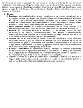Por último, se encuentra la defecación, la cual consiste en expulsar el contenido del recto al exterior.
Habitualmente suele estar precedida por un movimiento en masa en el que las heces pasan al recto que se
distiende lo que provoca la relajación parasimpática del esfínter anal interno. El reflejo de defecación puede
agotarse al cabo de cierto tiempo, o bien producirse la relajación voluntaria del esfínter anal externo y
producirse la defecación.
D) Glosario
1. Peristalsis: La peristalsis (también llamada peristaltismo o movimientos peristálticos) es la
contracción rítmica de los músculos lisos del tracto digestivo para impulsar el alimento a través de
él. En la mayor parte del tracto gastrointestinal, los músculos lisos se contraen en secuencia para
producir una onda peristáltica que impulsa el alimento (llamado bolo alimenticio mientras está en
el esófago, y quimo cuando está en el estómago o en otras partes del tracto digestivo).
2. Factor intrínseco gástrico: Es una glucoproteína producida por las células parietales de la
mucosa gástrica (estómago), la cual es necesaria para la absorción intestinal de la vitamina B12.
3. Gastrina: Es una hormona polipeptídica segregada por las glándulas pilóricas del antro
del estómago y por las fibras peptidérgicas del nervio vago. Estimula la secreción de ácido
clorhídrico y pepsinógeno (precursor de la pepsina liberado por células pépticas) que se activa
como pepsina al entrar en contacto con el ácido en el estómago.
4. Vitamina B12: Es una vitamina hidrosoluble esencial para el funcionamiento normal del cerebro,
del sistema nervioso, y para la formación de la sangre y de varias proteínas. Es una de las
ocho vitaminas del grupo B. Normalmente está implicada en el metabolismo de las células del
cuerpo humano, especialmente en la síntesis y regulación del ADN; también en la metabolización
de los aminoácidos, de los ácidos grasos y de los glúcidos.
5. Hormona somatostatina: Es una hormona peptídica, encargada de estimular el crecimiento,
reproducción celular y la regeneración en humanos y otros animales. La hormona de crecimiento
es un polipéptido de 191 aminoácidos de una sola cadena sintetizada, almacenada y secretada por
las células somatótropas dentro de las alas laterales de la adenohipófisis.
6. Ampolla de Vater: Es la parte del duodeno donde desemboca el conducto biliar común en la
segunda parte duodenal (descendente). La ampolla es la porción que cubre el esfínter de Oddi, el
cuál comprende la unión del conducto colédoco con el conducto pancreático.
 