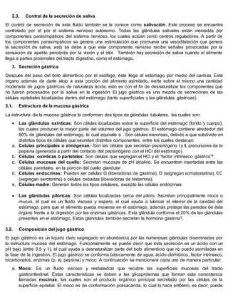 2.3. Control de la secreción de saliva
El control de secreción de este fluido también se le conoce como salivación. Este proceso se encuentra
controlado por el por el sistema nervioso autónomo. Todas las glándulas salivales están inervadas por
componentes parasimpáticos del sistema nervioso, los cuales actúan como centros reguladores. A partir de
los componentes parasimpáticos se genera una estimulación que promueve una vasodilatación que genera
la secreción de saliva, esto se debe a que este componente nervioso recibe señales provocadas por la
sensación de apetito percibida por la visión y el olor. También hay secreción de saliva cuando el alimento
llega a partes proximales del tracto digestivo, como el estómago.
3. Secreción gástrica
Después del paso del bolo alimenticio por el esófago, éste llega al estómago por medio del cardias. Este
órgano además de darle alojo a esta porción del alimento asimilado, vierte sobre el mismo una cantidad
moderada de jugos gástricos de naturaleza ácida, esto es con el fin de desnaturalizar los componentes que
no fueron procesados por la saliva en la ingestión. El jugo gástrico es una mezcla de secreciones de las
células epiteliales localizadas dentro del estómago (tanto superficiales y las glándulas gástricas).
3.1. Estructura de la mucosa gástrica
La estructura de la mucosa gástrica la conforman dos tipos de glándulas tubulares, las cuales son:
 Las glándulas oxínticas: Son células localizadas sobre la superficie del estómago (fondo y cuerpo),
las cuales producen la mayor parte del volumen del jugo gástrico. El estómago contiene alrededor del
80% de glándulas del estómago, lo cual equivale a . Son células exocrinas, debido a que subdivide en
distintos tipos de células que secretan distintos componentes, entre los cuales destacan:
a. Celulas principales o zimógenas: Son las células que secretan pepsinógeno I y II, precursores de la
pepsina (generada a partir del contacto del pepsinógeno con el HCl del estómago).
b. Células oxínticas o parietales: Son células que segregan el HCl y el “factor intrínseco gástrico”4.
c. Celulas mucosas del cuello: Secretan mucosas de pH alcalino. Se encuentran insertadas entre las
células parietales, en la porción del cuello glandular
d. Células endocrinas: Pueden ser células G (liberadoras de gastrina), D (segregan somatostatina), EC
(segregan serotonina) o células cebadas (liberadoras de histamina).
e. Células madre: Generan todos los tipos celulares, excepto las células endocrinas.
 Las glándulas pilóricas: Son células localizadas cerca del píloro. Secretan principalmente moco o
mucus, el cual es un fluido viscoso y espero, el cual ayuda a lubricar el interior de la cavidad del
estómago, para que el alimento pueda moverse en el estómago, además protege las paredes de éste
órgano frente a la digestión por las enzimas gástricas. Esta glándula conforma el 20% de las glándulas
presentes en el estómago. Estas glándulas también secretan la hormona gastrina5.
3.2. Composición del jugo gástrico
El jugo gástrico es un líquido claro segregado en abundancia por las numerosas glándulas diseminadas por
la estructura mucosa del estómago. Funcionalmente se puede decir que ésta secreción es un ácido con un
pH bajo (entre 0.5 y 1), el cual ayuda a desnaturalizar parte del bolo alimenticio que no puedo asimiladas en
la fase de la ingestión. El jugo gástrico se conforma básicamente de agua, ácido clorhídrico, factor intrínseco,
bicarbonatos, enzimas (p. ej. pepsina) y moco. A continuación se mencionará cada uno de manera particular:
a. Moco: Es un fluido viscoso y resbaladizo que recubre las superficies mucosas del tracto
gastrointestinal. Estas características se deben a las glicoproteínas que forman esta consistencia
llamadas mucinas, las cuales son el producto orgánico principal secretado por las células de la
superficie epitelial. El moco es de conformación polisacárida, lo cual lo hace anfótero, es decir, puede
 