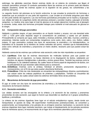 estómago, las glándulas exocrinas liberan enzimas dentro de un sistema de conductos que llegan al
conducto pancreático principal. El conducto pancreático libera las enzimas en la primera parte del intestino
delgado (duodeno), donde las enzimas ayudan en la digestión de las grasas, los carbohidratos y las
proteínas del quimo.
La segunda función del páncreas es la función endocrina, la que envuelve la producción de hormonas o
sustancias que se producen en una parte del organismo y que circulan en el torrente sanguíneo para influir
en otra parte distinta del organismo. Las dos hormonas pancreáticas principales son la insulina y el glucagón.
Las células del islote de Langerhans dentro del páncreas producen y secretan insulina y glucagón al torrente
sanguíneo. La insulina sirve para bajar el nivel de glucosa en la sangre (glucemia) mientras que el glucagón
lo aumenta. Juntas, estas dos hormonas principales trabajan para mantener el nivel adecuado de glucosa en
la sangre.
4.2. Composición del jugo pancreático
Hablando a grandes rasgos, el jugo pancreático es un líquido incoloro y acuoso, con una densidad entre
1.007 y 1.035 gr/ml (esto depende según la concentración de proteínas) y cuenta con pH alcalino.
Principalmente se compone por agua, sales minerales y diversas proteínas, entre ellas, mucinas y enzimas y
proenzimas. Además cuenta con componentes inorgánicos como sodio, cloro, calcio, cinc, fósforo, sulfato,
potasio. El jugo pancreático contiene dos tipos de secreciones; la enzimática y la hidroelectrolítica. La
enzimática es la causante de la hidrólisis de ciertos nutrientes del quimio, mientras que la hidroelectrolítica
actúa como vehículo de enzimática y proporciona un medio alcalino, necesario para que puedan actuar las
enzimas.
Hablando acerca de las enzimas que conforman esta secreción, entre las más importantes se encuentran:
4.2.1. Lipolíticas: Este tipo de enzimas descompone las moléculas lipídicas para que puedan ser
absorbidas por el organismo. La lipasa interviene en la disgregación de lípidos, catalizando por
hidrólisis de algunos triacilgliceroles a gliceroles y ácidos grasos libres. También hay enzimas como la
fosfolipasa A y la colesterol esterasa, las cuales hacen el mismo papel de degradación de lípidos, con
la particularidad de que necesitan sales biliares para su activación.
4.2.2. Amilolíticas: Enzimas como la amilasa, hidrolizan el almidón, produciendo oligosacáridos y
monosacáridos, con el fin de que estos puedan absorberse fácilmente.
4.2.3. Proteolíticas: Entre las más destacadas se encuentran las endopeptídasas (tripsina y quimiotripsina),
que actúan sobre los enlaces peptídicos de proteínas y polipéptidos. También se encuentran las
exopeptidasas, las cuales actúan sobre los extremos terminales libres de las proteínas.
4.3. Mecanismos de formación de jugo pancreático
El jugo al contar con dos tipos de secreciones (la enzimática y la hidroelectrolítica), ambas cuentan con
mecanismo de formación distintos:
4.3.1. Secreción enzimática:
Las células acinares son las encargadas de la síntesis y la secreción de las enzimas y proenzimas
provenientes de esta secreción, que según la función que desarrollan se clasifican en 3 grupos: proteolíticas,
lipolíticas y aminolíticas.
La síntesis de las enzimas digestivas tiene lugar en el retículo endoplásmico rugoso, desde donde son
transportadas al aparato de Golgi. Allí experimentan modificaciones postraduccionales, se concentran y,
posteriormente, son transportadas a los gránulos de un zimógeno (enzimas inactivadas). La secreción de las
enzimas digestivas tiene lugar mediante exocitosis, que incluye el desplazamiento de los gránulos secretores
hacia la membrana apical, y el reconocimiento de un lugar de la membrana plasmática para la fusión.
 