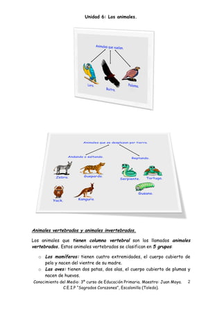 Unidad 6: Los animales.




Animales vertebrados y animales invertebrados.

Los animales que tienen columna vertebral son los llamados animales
vertebrados. Estos animales vertebrados se clasifican en 5 grupos:

  o Los mamíferos: tienen cuatro extremidades, el cuerpo cubierto de
      pelo y nacen del vientre de su madre.
  o Las aves: tienen dos patas, dos alas, el cuerpo cubierto de plumas y
      nacen de huevos.
Conocimiento del Medio: 3º curso de Educación Primaria. Maestro: Juan Moya. 2 
              C.E.I.P “Sagrados Corazones”, Escalonilla (Toledo).
 