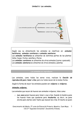 Unidad 6: Los animales.




Según sea su alimentación los animales se clasifican en: animales
herbívoros, animales carnívoros o animales omnívoros.
Los animales herbívoros se alimentan de distintas partes de las plantas:
tallos, hojas, frutos, semillas y flores.
Los animales carnívoros se alimentan de otros animales (carne o pescado).
Los animales omnívoros se alimentan de otros animales y plantas.




                        Los animales se reproducen.


Los animales, como todos los seres vivos, realizan la función                 de
reproducción para tener crías, pero no todos nacen de la misma forma.

Según la forma de nacer los animales pueden ser ovíparos o vivíparos.

Animales ovíparos.

Los animales que nacen de huevos son animales vivíparos, tales como:

   o Las aves ponen huevos para tener a sus crías. Cuando la hembra pone
     los huevos tiene que quedarse para incubarlos, es decir, se pone
     encima para darles calor hasta que nazcan las crías. El macho es quien


Conocimiento del Medio: 3º curso de Educación Primaria. Maestro: Juan Moya.    5 
              C.E.I.P “Sagrados Corazones”, Escalonilla (Toledo).
 