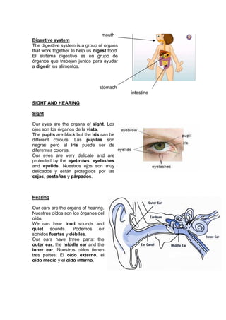 mouth
Digestive system
The digestive system is a group of organs
that work together to help us digest food.
El sistema digestivo es un grupo de
órganos que trabajan juntos para ayudar
a digerir los alimentos.
stomach
intestine
SIGHT AND HEARING
Sight
Our eyes are the organs of sight. Los
ojos son los órganos de la vista.
The pupils are black but the iris can be
different colours. Las pupilas son
negras pero el iris puede ser de
diferentes colores.
Our eyes are very delicate and are
protected by the eyebrows, eyelashes
and eyelids. Nuestros ojos son muy
delicados y están protegidos por las
cejas, pestañas y párpados.
Hearing
Our ears are the organs of hearing.
Nuestros oídos son los órganos del
oído.
We can hear loud sounds and
quiet sounds. Podemos oír
sonidos fuertes y débiles.
Our ears have three parts: the
outer ear, the middle ear and the
inner ear. Nuestros oídos tienen
tres partes: El oído externo, el
oído medio y el oído interno.
 