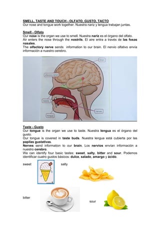 SMELL, TASTE AND TOUCH - OLFATO, GUSTO, TACTO
Our nose and tongue work together. Nuestra nariz y lengua trabajan juntas.
Smell - Olfato
Our nose is the organ we use to smell. Nuestra nariz es el órgano del olfato.
Air enters the nose through the nostrils. El aire entra a través de las fosas
nasales.
The olfactory nerve sends information to our brain. El nervio olfativo envía
información a nuestro cerebro.
Taste - Gusto
Our tongue is the organ we use to taste. Nuestra lengua es el órgano del
gusto.
Our tongue is covered in taste buds. Nuestra lengua está cubierta por las
papilas gustativas.
Nerves send information to our brain. Los nervios envían información a
nuestro cerebro.
We can identify four basic tastes: sweet, salty, bitter and sour. Podemos
identificar cuatro gustos básicos: dulce, salado, amargo y ácido.
sweet salty
bitter
sour
 