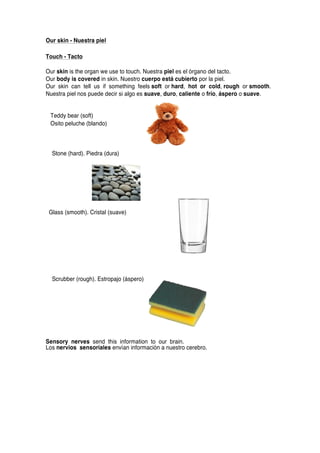   	
   	
   	
   	
  
	
  
	
  
	
  
Our skin - Nuestra piel
	
  
Touch - Tacto
	
  
Our skin is the organ we use to touch. Nuestra piel es el órgano del tacto. 	
  
Our body is covered in skin. Nuestro cuerpo está cubierto por la piel. 	
  
Our skin can tell us if something feels soft or hard, hot or cold, rough or smooth.
Nuestra piel nos puede decir si algo es suave, duro, caliente o frío, áspero o suave. 	
  
	
  
	
  
Teddy bear (soft) 	
  
Osito peluche (blando) 	
  
	
  
	
  
	
  
	
  
Stone (hard). Piedra (dura) 	
  
	
  
	
  
	
  
	
  
	
  
	
  
	
  
	
  
Glass (smooth). Cristal (suave) 	
  
	
  
	
  
	
  
	
  
	
  
	
  
	
  
	
  
	
  
Scrubber (rough). Estropajo (áspero)
	
  
	
  
	
  
	
  
	
  
	
  
	
  
Sensory nerves send this information to our brain.
Los nervios sensoriales envían información a nuestro cerebro. 	
  
 