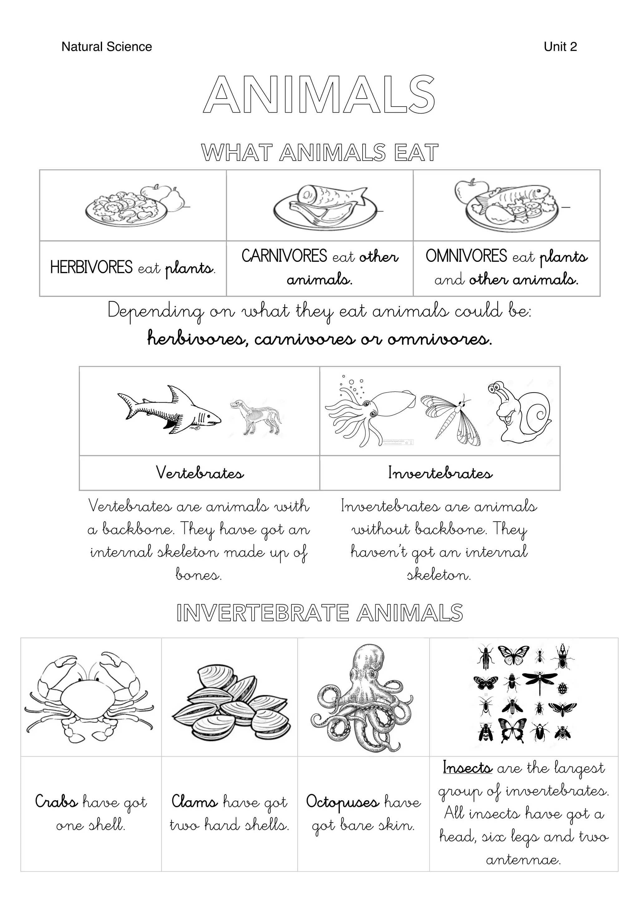 Natural Science Unit 2
HERBIVORES eat plants.
CARNIVORES eat other
animals.
OMNIVORES eat plants
and other animals.
Depending on what they eat animals could be:
herbivores, carnivores or omnivores.
Vertebrates Invertebrates
Vertebrates are animals with
a backbone. They have got an
internal skeleton made up of
bones.
Invertebrates are animals
without backbone. They
haven’t got an internal
skeleton.
Crabs have got
one shell.
Clams have got
two hard shells.
Octopuses have
got bare skin.
Insects are the largest
group of invertebrates.
All insects have got a
head, six legs and two
antennae.