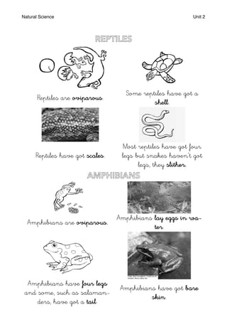 Natural Science Unit 2
Reptiles are oviparous.
Some reptiles have got a
shell.
Reptiles have got scales.
Most reptiles have got four
legs but snakes haven’t got
legs, they slither.
Amphibians are oviparous.
Amphibians lay eggs in wa-
ter.
Amphibians have four legs
and some, such as salaman-
ders, have got a tail.
Amphibians have got bare
skin.
 