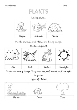 Natural Science Unit 6
	
Living things
People Animals Plants
People, animals and plants are living things.
Needs of a plant
Air Soil Water Sunlight
Plants are living things. They need air, soil, water and sunlight
to grow.
Types of plants
Grass Bush Tree
 