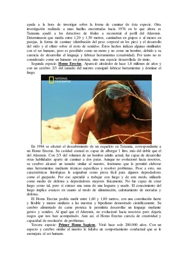 Resumen vídeo. el origen del hombre
