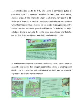 113 cannabinoides aparte del THC, tales como el cannabidiol (CBD), el
cannabinol (CBN) o la tetrahidrocannabivarina (THCV), que tienen efectos
distintos a los del THC, y también actúan en el sistema nervioso.10 El 11-
Hydroxy-THCseproducecuando elcannabis está cocinado, pero no cuando se
fuma. El cannabis seutiliza a menudo por sus efectos físicos y psíquicos, entre
los que destacan un cambio general en la percepción, euforia y un mejor
estado de ánimo, el aumento del apetito y una sensación de estar bajo los
efectos de la droga, «colocado» o «volado» en el lenguaje popular.
La heroína es una droga que proviene la morfina una sustancia natural que se
encuentra en el capullo de la amapola o adormidera asiáticaes una droga semi
cinética que se puede inyectar fumar o inhalar se clasifica en las sustancias
depresoras del sistema nervioso central.
 