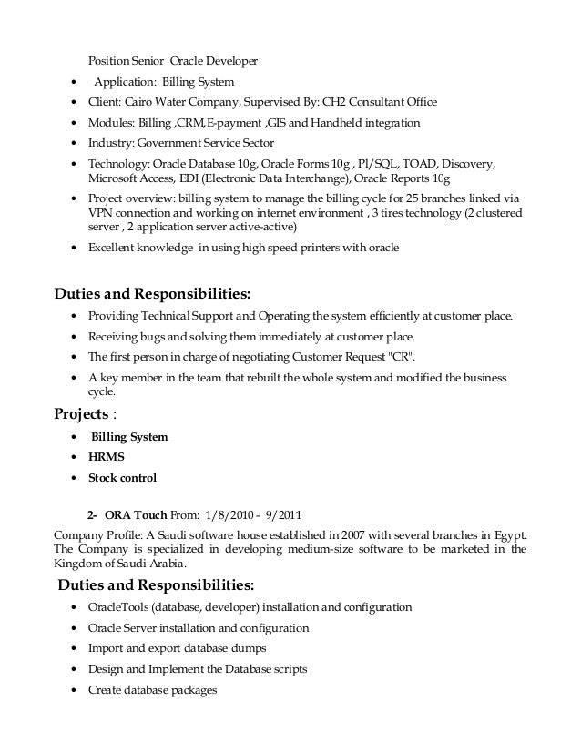 business objects architect resume