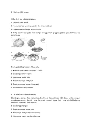 5. Tubuhnya tidak beruas.
Hidup di air laut sebagian air payau.
5. Tubuhnya tidak beruas.
6. Tersusun dari zat gampingan, chitin, dan simetri bilateral.
7. Cangkangnya mempunyai selaput mantel.
8. Hidup secara sesil pada dasar dengan menggunakan ganggang pedicel yang terletak pada
posteriornya.
Brachiopoda dibagi kedalam 2 Klas, yaitu:
A. Klas Inartikulata (Kamrium-Resen) Ciri-ciri :
1. Cangkang chitinophospatic
2. Mempunyai lubang anus
3. Tidak mempunyai delthyrium
4. Tidak mempunyai lubang gigi dan gigi
5. Susunan otot rumit/kompleks
B. Klas Artikulata (Kambrium-Resen)
Dibandingkan dengan Klas Inartukulata, Brachipoda Klas Artikulata lebih besar jumlah maupun
keanekaragamannya. Banyak yang berfungsi sebagai index fosil yang baik baikba,karena
evolusinya yang relatif cepat. Ciri-ciri:
1. Cangkang gampingan
2. Tidak mempunyai lubang anus
3. Mempunyai delthyrium/pedicel opening
4. Mempunyai engsel, gigi, dan lubang gigi
 