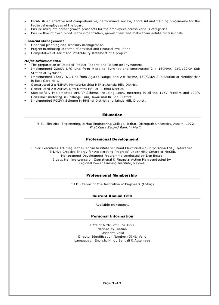 director power projects resume