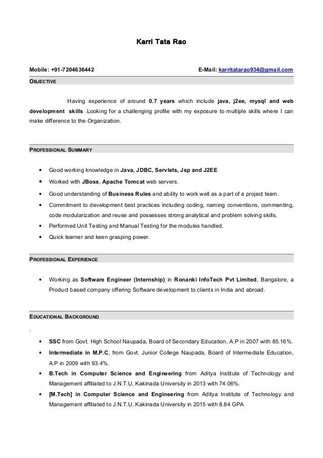 Java resume experience summary