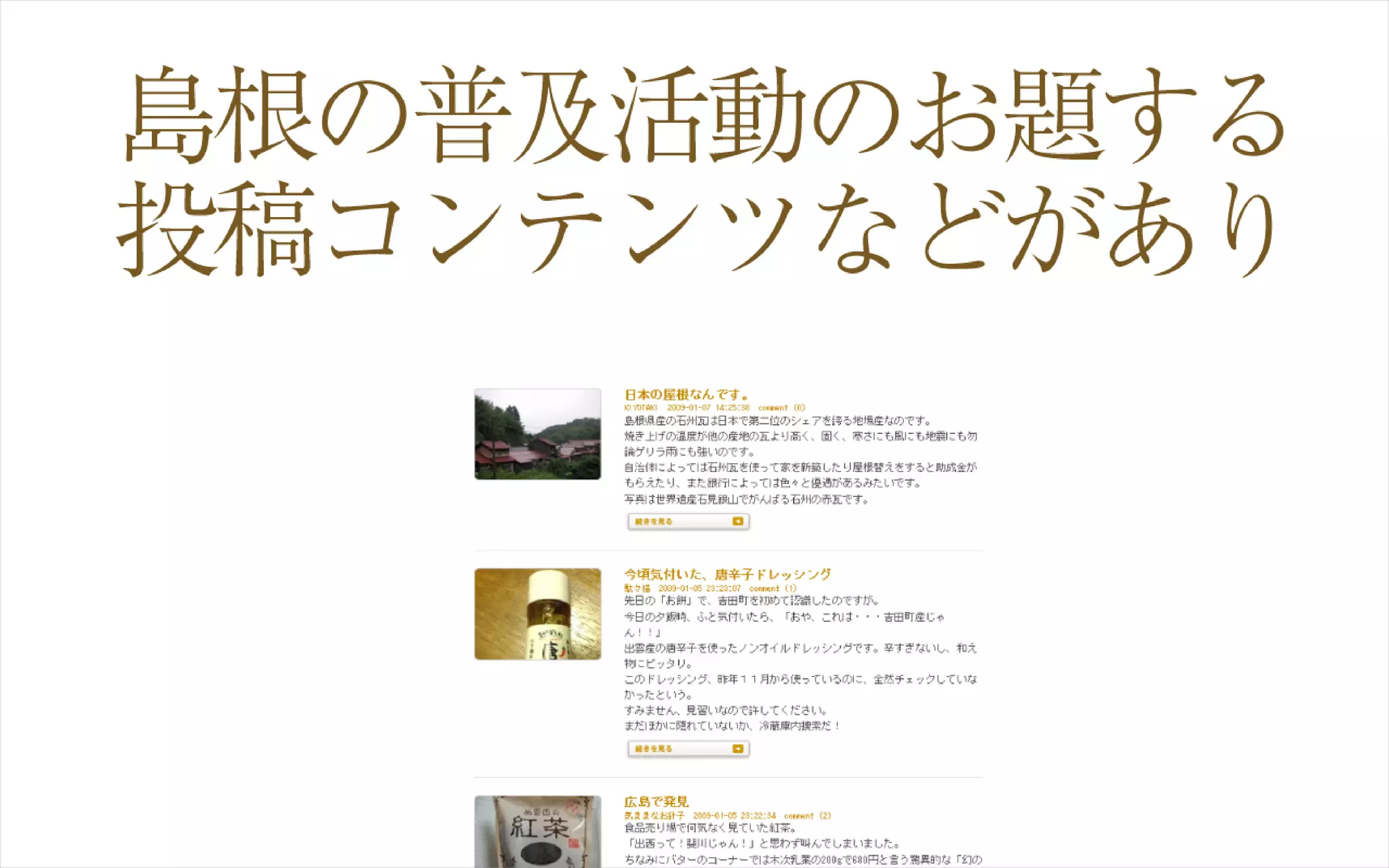 CSS Nite in HIROSHIMA 2009 うまくいっている地域コミュニティーサイト