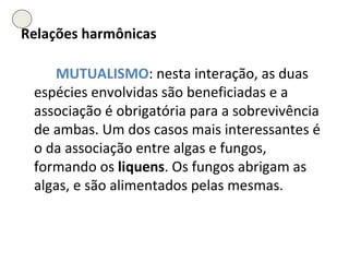 Relações harmônicas MUTUALISMO : nesta interação, as duas espécies envolvidas são beneficiadas e a associação é obrigatória para a sobrevivência de ambas. Um dos casos mais interessantes é o da associação entre algas e fungos, formando os  liquens . Os fungos abrigam as algas, e são alimentados pelas mesmas.  
