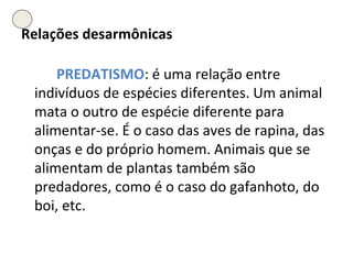 Relações desarmônicas PREDATISMO : é uma relação entre indivíduos de espécies diferentes. Um animal mata o outro de espécie diferente para alimentar-se. É o caso das aves de rapina, das onças e do próprio homem. Animais que se alimentam de plantas também são predadores, como é o caso do gafanhoto, do boi, etc. 