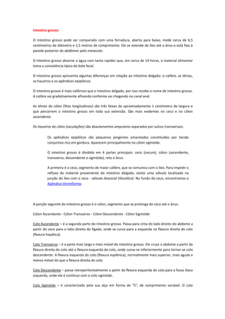 Intestino grosso:

O intestino grosso pode ser comparado com uma ferradura, aberta para baixo, mede cerca de 6,5
centímetros de diâmetro e 1,5 metros de comprimento. Ele se estende do íleo até o ânus e está fixo à
parede posterior do abdômen pelo mesecolo.

O intestino grosso absorve a água com tanta rapidez que, em cerca de 14 horas, o material alimentar
toma a consistência típica do bolo fecal.

O intestino grosso apresenta algumas diferenças em relação ao intestino delgado: o calíbre, as tênias,
os haustros e os apêndices epiplóicos.

O intestino grosso é mais calibroso que o intestino delgado, por isso recebe o nome de intestino grosso.
A calibre vai gradativamente afinando conforme vai chegando no canal anal.

As tênias do cólon (fitas longitudinais) são três faixas de aproxmadamente 1 centímetro de largura e
que percorrem o intestino grosso em toda sua extensão. São mais evidentes no ceco e no cólon
ascendente.

Os haustros do cólon (saculações) são abaulamentos ampulares separados por sulcos transversais.

         Os apêndices epiplóicos são pequenos pingentes amarelados constituídos por tecido
         conjuntivo rico em gordura. Aparecem principalmente no cólon sigmóide.

         O intestino grosso é dividido em 4 partes principais: ceco (cecum), cólon (ascendente,
         transverso, descendente e sigmóide), reto e ânus.

         A primeira é o ceco, segmento de maior calibre, que se comunica com o íleo. Para impedir o
         refluxo do material proveniente do intestino delgado, existe uma válvula localizada na
         junção do íleo com o ceco - válvula ileocecal (iliocólica). No fundo do ceco, encontramos o
         Apêndice Vermiforme.




A porção seguinte do intestino grosso é o cólon, segmento que se prolonga do ceco até o ânus.

Cólon Ascendente - Cólon Transverso - Cólon Descendente - Cólon Sigmóide

Colo Ascendente – é a segunda parte do intestino grosso. Passa para cima do lado direito do abdome a
partir do ceco para o lobo direito do fígado, onde se curva para a esquerda na flexura direita do colo
(flexura hepática).

Colo Transverso – é a parte mais larga e mais móvel do intestino grosso. Ele cruza o abdome a partir da
flexura direita do colo até a flexura esquerda do colo, onde curva-se inferiormente para tornar-se colo
descendente. A flexura esquerda do colo (flexura esplênica), normalmente mais superior, mais aguda e
menos móvel do que a flexura direita do colo.

Colo Descendente – passa retroperitonealmente a partir da flexura esquerda do colo para a fossa ilíaca
esquerda, onde ele é contínuo com o colo sigmóide.

Colo Sigmóide – é caracterizado pela sua alça em forma de “S”, de comprimento variável. O colo
 
