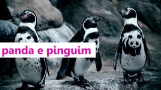 panda e pinguim

 