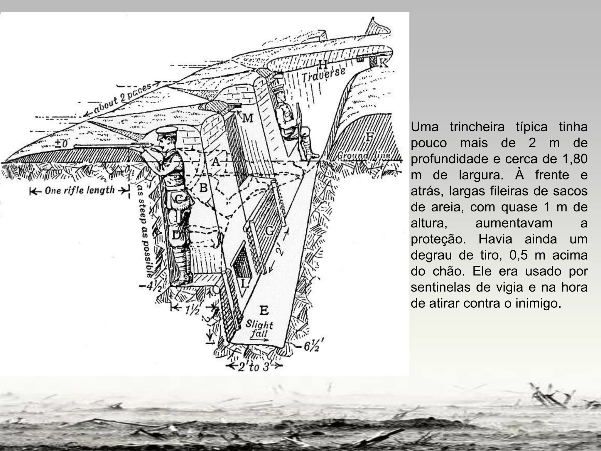 Slide 12