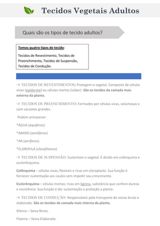 Tecidos Vegetais Adultos
Quais são os tipos de tecido adultos?
Temos quatro tipos de tecido:
Tecidos de Revestimento, Tecidos de
Preenchimento, Tecidos de Suspensão,
Tecidos de Condução.
➩ TECIDOS DE REVESTIMENTOS: Protegem o vegetal. Composto de células
vivas (epiderme) ou células mortas (súber). São os tecidos da camada mais
externa da planta.
➩ TECIDOS DE PREENCHIMENTO: Formados por células vivas, volumosas e
com vacúolos grandes.
Podem armazenar:
*ÁGUA (aquíferos)
*AMIDO (amilíferos)
*AR (aeríferos)
*CLOROFILA (clorofilianos)
➩ TECIDOS DE SUSPENSÃO: Sustentam o vegetal. É divido em colênquima e
esclerênquima.
Colênquima – células vivas; flexíveis e ricas em cloroplasto. Sua função é
fornecer sustentação aos caules sem impedir seu crescimento.
Esclerênquima – células mortas; ricas em lignina, substância que confere dureza
e resistência. Sua função é dar sustentação e proteção a planta.
➩ TECIDOS DE CONDUÇÃO: Responsáveis pelo transporte de seivas bruta e
elaborada. São os tecidos da camada mais interna da planta.
Xilema – Seiva Bruta.
Floema – Seiva Elaborada.
 