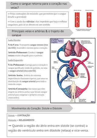 Como o sangue retorna para o coração nas
veias?
⇒ Pelas contrações do músculo, que permitem que o sangue
desafie a gravidade
⇒ Com a ajuda das válvulas: elas impedem que haja o refluxo
sanguíneo, pois só se abrem em um sentido.
Principais veias e artérias & o trajeto do
sangue
Lado Direito:
Veia Cava: Transporta sangue venoso (rico
em CO2), trazendo o mesmo para o coração.
Artéria Pulmonar: Conduz o sangue
venoso recém-chegado para o pulmão.
Lado Esquerdo:
Veia Pulmonar: Carrega para o coração o
sangue purificado vindo do pulmão, ou seja,
o sangue arterial (rico com O2).
Artéria Aorta: Artéria de extrema
importância e bastante espessa, que atua na
distribuição do sangue arterial para todo o
resto do corpo.
Artéria Coronária: São vasos que têm
origem na artéria aorta e que levam sangue
arterial para oxigenar o próprio coração
(miocárdio).
Movimentos do Coração: Sístole e Diástole
Sístole = CONTRAÇÃO
Diástole = RELAXAMENTO
➞ Quando a região do átrio entra em sístole (se contrai) a
região do ventrículo entra em diástole (relaxa) e vice-versa.
 