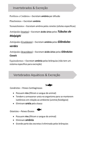 Invertebrados & Excreção
Poríferos e Cnidários – Excretam amônia por difusão
Platelmintos – Excretam amônia
Nematelmintos – Excretam amônia pelos renetes (células específicas)
Artrópodes (Insetos) – Excretam ácido úrico pelos Túbulos de
Malpighi
Artrópodes (Crustáceos) – Excretam amônia pelas Glândulas
verdes
Artrópodes (Aracnídeos) – Excretam ácido úrico pelas Glândulas
Coxais
Equinodermos – Excretam amônia pelas brânquias (não tem um
sistema específico para excreção)
Vertebrados Aquáticos & Excreção
Condrictes – Peixes Cartilaginosos
 Possuem rins (filtram o sangue do animal)
 Tendem a armazenar ureia no organismo para se manterem
isotônicos em relação ao ambiente (uremia fisiológica)
 Eliminam ureia pela cloaca
Osteíctes – Peixes Ósseos
 Possuem rins (filtram o sangue do animal)
 Eliminam amônia
 Grande parte das excretas é eliminada pelas brânquias
 
