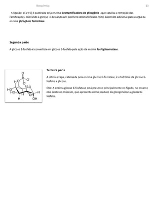 Bioquímica                                                                                    13

 A ligação α(1→6) é quebrada pela enzima desrramificadora do glicogênio , que catalisa a remoção das
ramificações, liberando a glicose e deixando um polímero desrramificado como substrato adicional para a ação da
enzima glicogênio fosforilase.




Segunda parte

A glicose 1-fosfato é convertida em glicose 6-fosfato pela ação da enzima fosfoglicomutase.




                              Terceira parte

                              A última etapa, catalisada pela enzima glicose 6-fosfatase, é a hidrólise da glicose 6-
                              fosfato a glicose.

                              Obs: A enzima glicose 6-fosfatase está presente principalmente no fígado, no entanto
                              não existe no músculo, que apresenta como produto da glicogenólise a glicose 6-
                              fosfato.
 