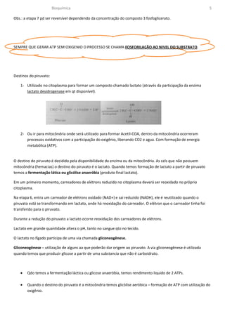 Bioquímica                                                                                5

Obs.: a etapa 7 pd ser reversível dependendo da concentração do composto 3 fosfoglicerato.




SEMPRE QUE GERAR ATP SEM OXIGENIO O PROCESSO SE CHAMA FOSFORILAÇÃO AO NIVEL DO SUBSTRATO.




Destinos do piruvato:

   1- Utilizado no citoplasma para formar um composto chamado lactato (através da participação da enzima
      lactato desidrogenase em qt disponível).




   2- Ou ir para mitocôndria onde será utilizado para formar Acetil-COA, dentro da mitocôndria ocorreram
      processos oxidativos com a participação do oxigênio, liberando CO2 e agua. Com formação de energia
      metabólica (ATP).


O destino do piruvato é decidido pela disponibilidade da enzima ou da mitocôndria. As cels que não possuem
mitocôndria (hemacias) o destino do piruvato é o lactato. Quando temos formação de lactato a partir de piruvato
temos a fermentação lática ou glicólise anaeróbia (produto final lactato).

Em um primeiro momento, carreadores de elétrons reduzido no citoplasma deverá ser reoxidado no próprio
citoplasma.

Na etapa 6, entra um carreador de elétrons oxidado (NAD+) e sai reduzido (NADH), ele é reutilizado quando o
piruvato está se transformando em lactato, onde há reoxidação do carreador. O elétron que o carreador tinha foi
transferido para o piruvato.

Durante a redução do piruvato a lactato ocorre reoxidação dos carreadores de elétrons.

Lactato em grande quantidade altera o pH, tanto no sangue qto no tecido.

O lactato no fígado participa de uma via chamada gliconeogênese.

Gliconeogênese – utilização de alguns aa que poderão dar origem ao piruvato. A via gliconeogênese é utilizada
quando temos que produzir glicose a partir de uma substancia que não é carboidrato.



   •   Qdo temos a fermentação láctica ou glicose anaeróbia, temos rendimento liquido de 2 ATPs.

   •   Quando o destino do piruvato é a mitocôndria temos glicólise aeróbica – formação de ATP com utilização do
       oxigênio.
 