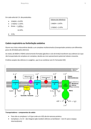Bioquímica                                                                                  9




Em cada volta do C.K. são produzidos:
                                                                 Valores de referência
   •   3 NADH = 9 ATPS
   •   1 FADH2 = 2 ATPs                                          1 NADH = 3 ATPs
   •   Direto = 1 ATPs +
                                                                 1 FADH2 = 2 ATPs
                 12 ATPs

   •   2 CO2




Cadeia respiratória ou fosforilação oxidativa
Ocorre nas cristas mitocondriais devido a um complexo multienzimatico (transportador proteico com diferentes
graus de afinidade pelos eletrons).

As molecs de NADH e FADH2 anteriormente formadas (glicólise e ciclo de krebs) transferem seus elétrons (e-) que
são transportados de complexo em complexo, devido aos msm apresentarem potencial redutor crescente.

O último aceptor dos elétrons é o oxigênio , que ira se combinar com H+ formando H2O.




                           Ubiquinona
                                                   Citocromo C




Transportadores – componentes da cadeia

   •   Fixos são os complexos I a IV (por onde sai o O2) são de natureza proteica.
   •   Complexos I, II e IV – são integrais (qdo recebem elétrons os bombeiam – ions H+ para o espaço
       intermenbrana)
 